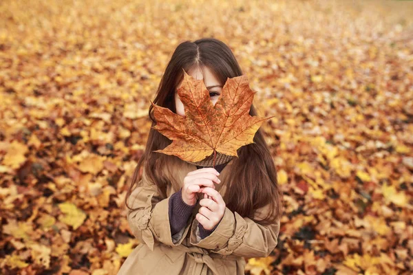 Sześciolatek Dziewczyna Chowając Się Duży Klon Liści Jesienią — Zdjęcie stockowe