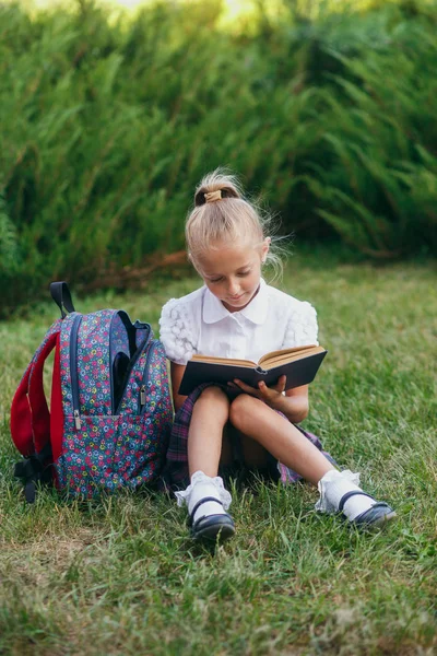 conceito de educação, alto retrato chave criança da escola primária lendo  e-book no tablet para