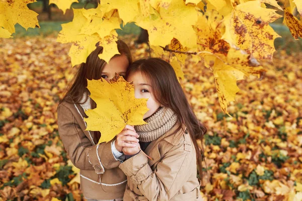 Glückliches Kleines Mädchen Das Einem Warmen Sonnigen Herbsttag Wunderschönen Herbstpark — Stockfoto