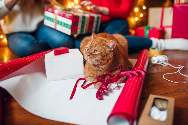 Gyönyörű karácsonyi háttér-val egy új évet dekorációt, régi könyv és ajándékok és macska fekszik egy fából készült háttér — Stock Fotó