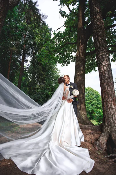 Preciosa pareja enamorada besándose el día de la boda incluso están de pie en el parque — Foto de Stock