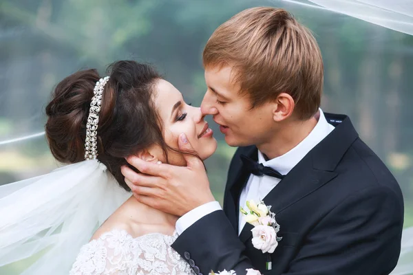 Novia y novio en un parque besándose. Pareja de boda enamorada —  Fotos de Stock