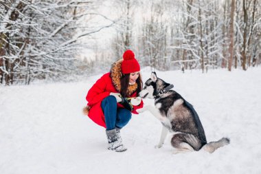 Genç kız kış park onun husky köpek ile. Yerli evde beslenen hayvan. Husky