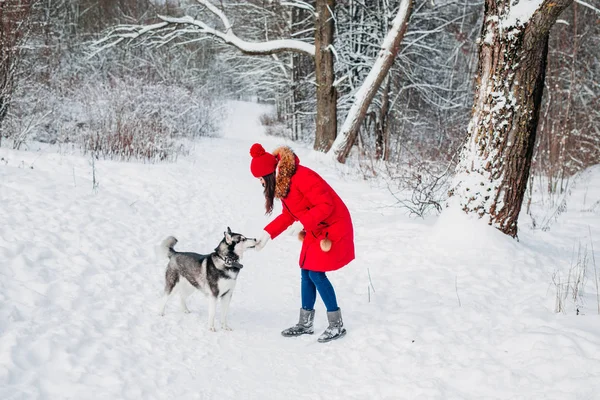 Jovem mulher brincando com seu cachorro Husky no parque de inverno — Fotografia de Stock