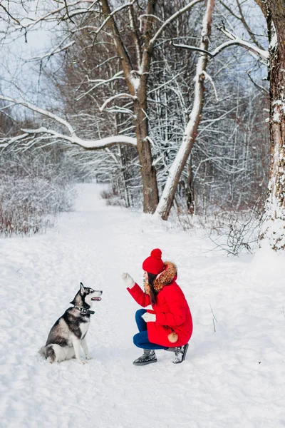 Jovem mulher brincando com seu cachorro Husky no parque de inverno — Fotografia de Stock