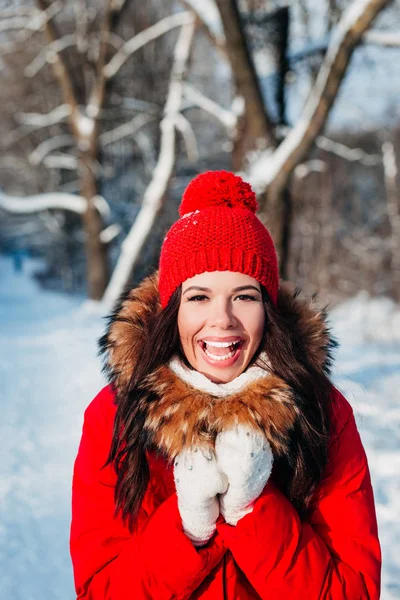 Portrait of young beautiful woman on winter outdoor background — Stok Foto