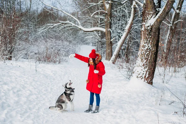 Jovem mulher brincando com seu cachorro Husky no parque de inverno — Fotografia de Stock