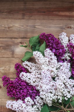 Ahşap antika arka plan üzerinde taze leylak çiçekler. Vintage çiçek arka plan bahar çiçekleri ile. Kopya alanı