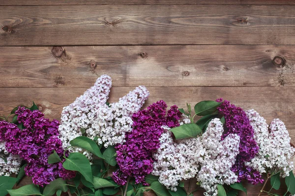 Fila de flores lila sobre fondo de madera con espacio para el mensaje. Mujeres o Madres Fondo del día . —  Fotos de Stock