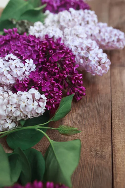 Fila de flores lila sobre fondo de madera con espacio para el mensaje. Mujeres o Madres Fondo del día . —  Fotos de Stock