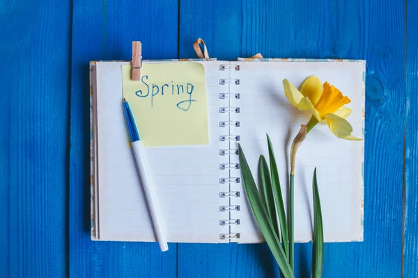 Open blank notepad and yellow narcissus flower,on blue wooden table top view ,flat lay. — Stock Photo, Image