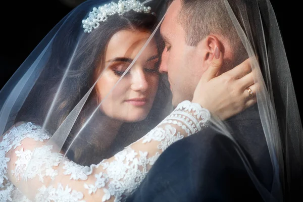 Esküvői szép pár csók fedett fátyol beltéri — Stock Fotó
