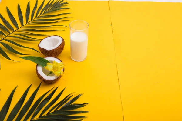 Vaso de leche o yogur, cocos, hojas de palma, flores exóticas sobre fondo amarillo — Foto de Stock