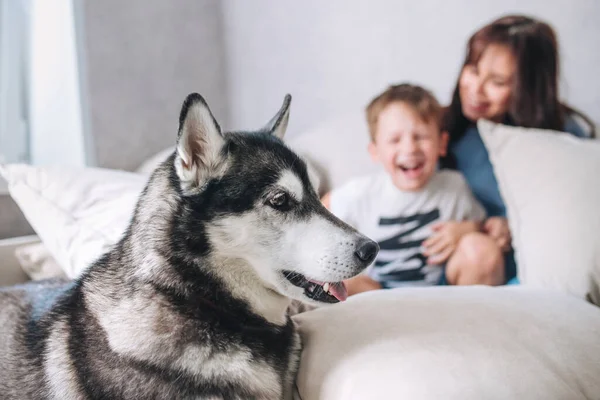 Kisgyerek anyával és kutyával otthon, boldogan. — Stock Fotó