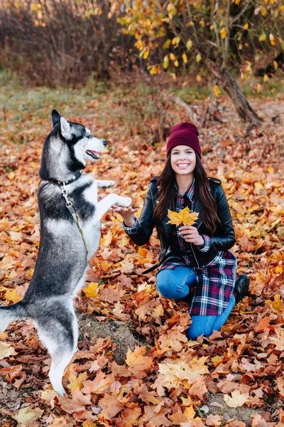 Ευτυχισμένη γυναίκα παίζει με husky σκυλί με φύλλα στο πάρκο φθινόπωρο — Φωτογραφία Αρχείου