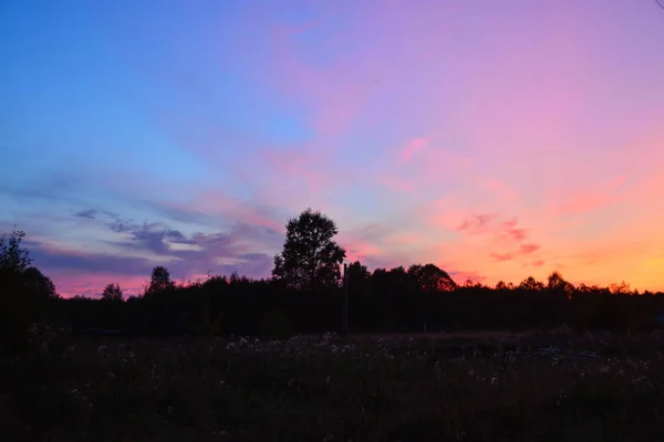 Vacker Färgglad Solnedgång Sommarkväll Byn — Stockfoto