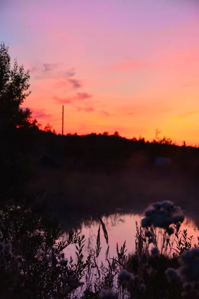 Красочный Закатный Летний Вечер Деревне — стоковое фото