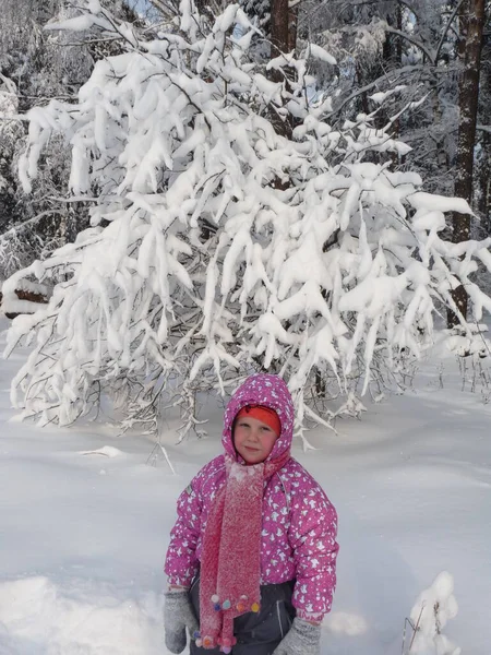 Dziewczyna Zimowym Lesie Pobliżu Śnieżnego Drzewa Siedzącego Śniegu — Zdjęcie stockowe