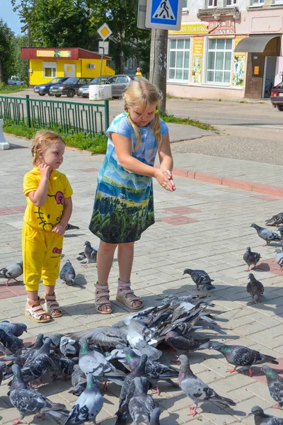 Calle Las Niñas Alimentan Las Palomas Con Semillas — Foto de Stock