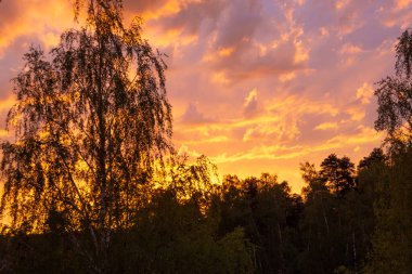 Bir bahar akşamı gökyüzünde sıradışı, güzel bir gün batımı.. 