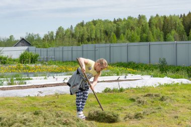Çocuk çimleri tarladan kaldırmaya yardım eder..