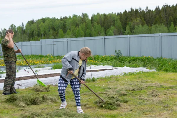 Kinder Helfen Das Gemähte Gras Vom Feld Entfernen — Stockfoto