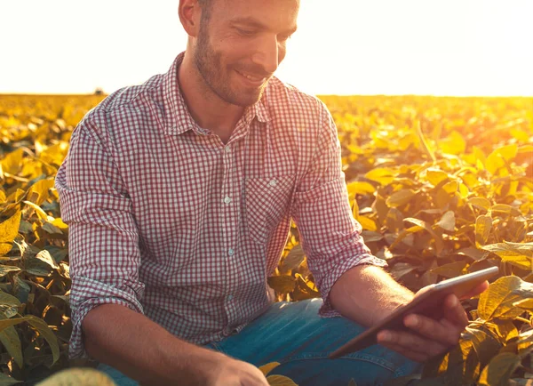Young farmer  with tablet computer in  field examining crop