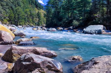 Kasol, Kullu-Manali, Himachal Pradesh 'teki Beas Nehri manzarası