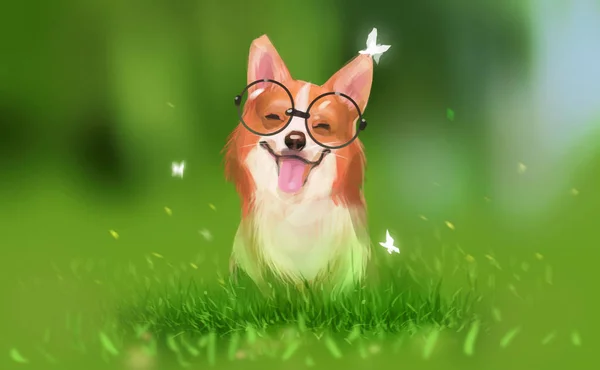 Digital Illustration Art Painting Design Style Corgi Dog Smile Happy — Stock Photo, Image