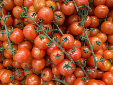 Lezzetli kırmızı domates. Yaz tepsi Pazar tarım çiftlik tam organik sebze arka plan olarak kullanılabilir. (seçici odak)