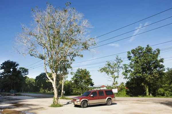 Los Viajeros Tailandeses Detienen Coche Estacionamiento Para Visitar Tham Nam — Foto de Stock