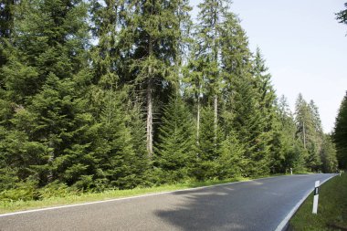Otoban yol dağ orman Enzklosterle City Baden Wurttemberg, Almanya