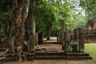Wat Phra Si Iriyabot Buda heykeli Antik Bina ve kalıntılar şehir Kamphaeng Phet tarihi Park görünümü peyzaj bir arkeolojik site ve Aranyik alanda Kamphaeng Phet, Tayland olduğunu