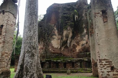 Wat Phra Si Iriyabot Buda heykeli Antik Bina ve kalıntılar şehir Kamphaeng Phet tarihi Park görünümü peyzaj bir arkeolojik site ve Aranyik alanda Kamphaeng Phet, Tayland olduğunu