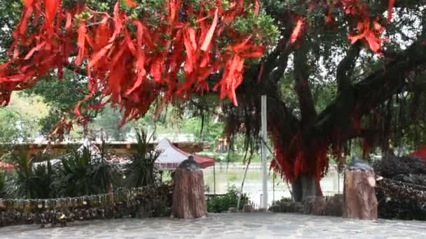 中国人は 2018 日に広東省 中国の汕頭市やスワトウ市中山公園で祈りの神聖な木の枝を聖なる旗を縛ら — ストック動画