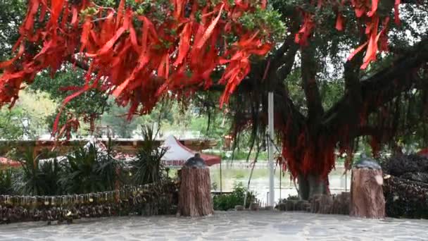 Çin Halkı Için Bahçe Zhongshan Park Shantou Şehir Veya Swatow — Stok video