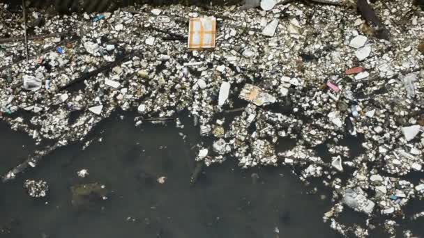연못에 표면에 쓰레기의 중국의 Shantou — 비디오