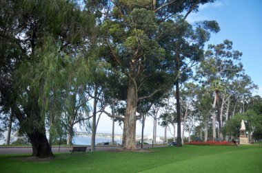 Kraliçe victoria ve İmparator anıt Avustralya insanlar ve yabancılar seyahat edenler için bahçede Kings Park ve Botanik Bahçesi 15 Mayıs 2016 Perth, Avustralya ziyaret edin