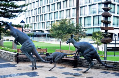 Kanguru aile heykel insanlar için ziyaret Garden Perth, Avustralya