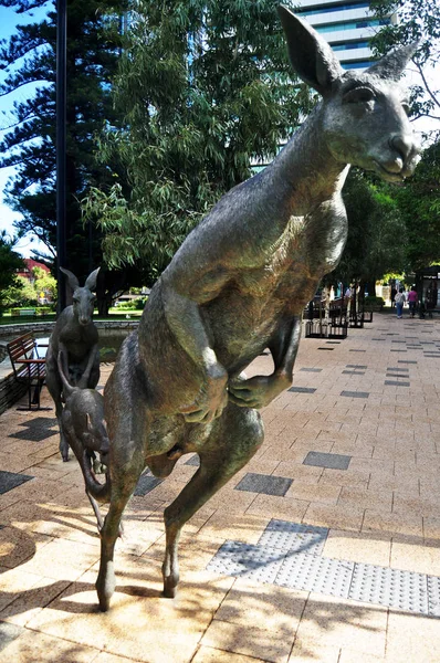 Estatua Familia Canguro Para Gente Visita Jardín Perth Australia — Foto de Stock