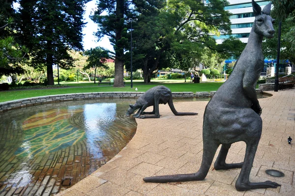 Estatua Familia Canguro Para Gente Visita Jardín Perth Australia — Foto de Stock