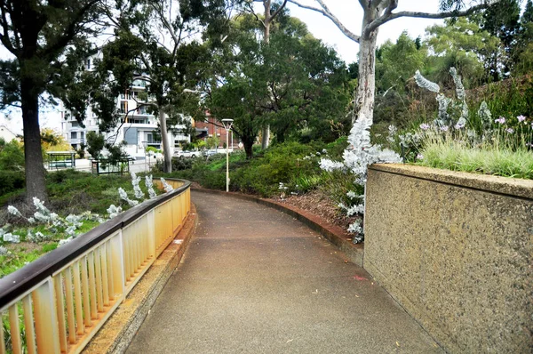Chodnik Dla Ludzi Chodzących Przekraczania Ogród Mieście Perth Australia — Zdjęcie stockowe