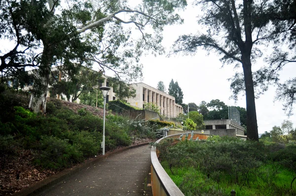 Passarela Para Pessoas Caminhando Jardim Travessia Cidade Perth Austrália — Fotografia de Stock