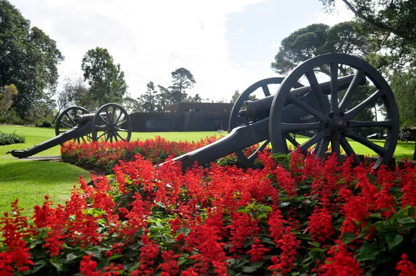 Ancient cannons in garden for Australian people and foreigners traveler visit and looking at Kings Park and Botanic Garden on May 15, 2016 in Perth, Australia