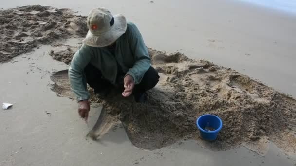 Staré Ženy Thajci Používají Naběračku Kopání Najít Shell Korýšů Pláži — Stock video