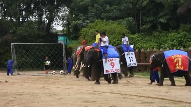大象主题节目为泰国人和旅客 Foriegner Samphran 大象地面和鳄鱼农场在2018年7月17日在 Phatom — 图库视频影像