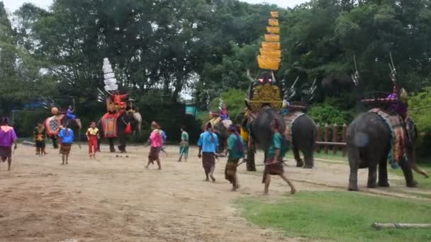Тематическое Шоу Слонов Тайцев Путешественников Ищущих Слонов Территории Самфрана Ферме — стоковое видео