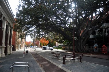 Perth, Avustralya 29 Mayıs 2016 Murray Street klasik bina olan yol yanında kaldırımda Avustralya insanlar yürüyüş ve akçaağaç ağaç
