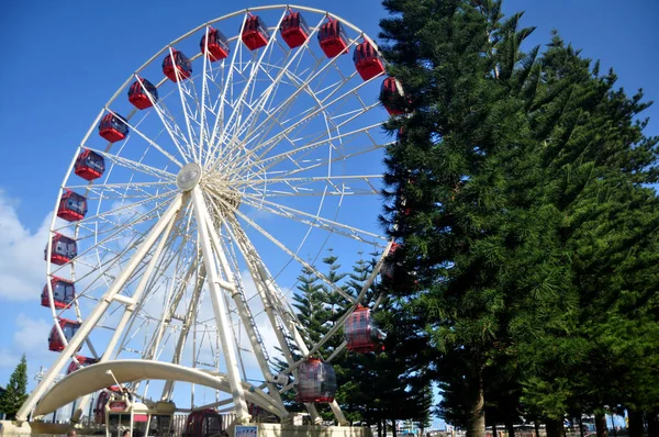 Gli Australiani Viaggiatori Stranieri Visitano Viaggi Giocano Rilassarsi Nel Parco — Foto Stock