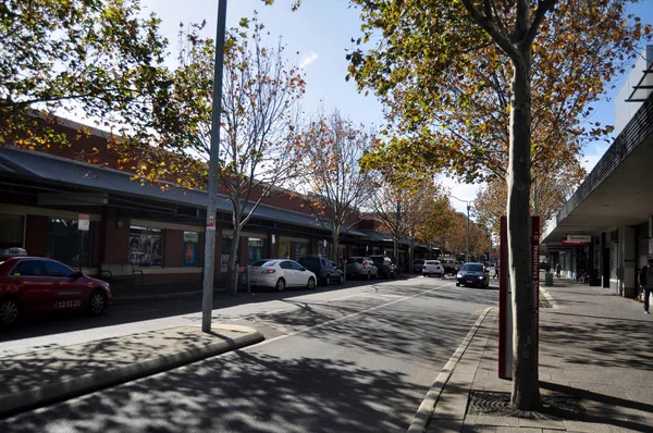 Australier Spazieren Und Ahornbaum Auf Gehweg Neben Straße Mit Klassischem — Stockfoto